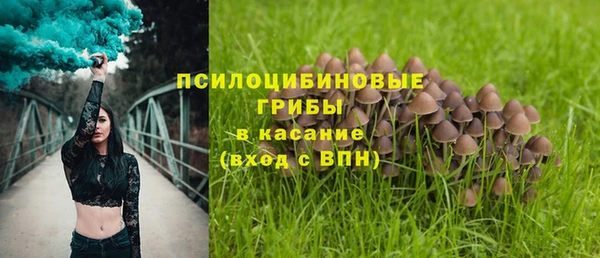 винт Алзамай